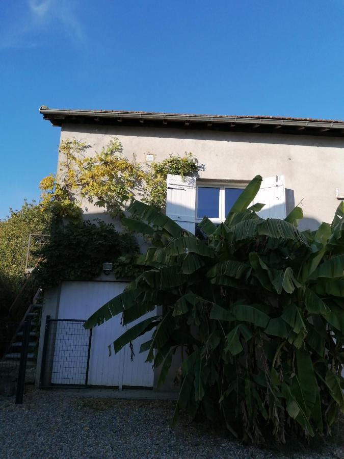 Le Grenier De Gaston Apartman Thouars-sur-Garonne Kültér fotó